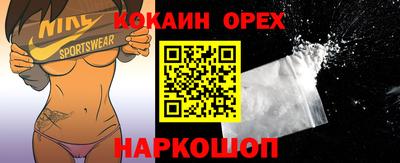 гашик Можга