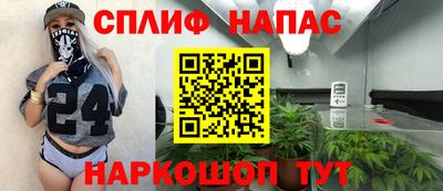 гашик Можга