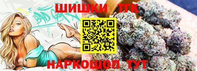 индика Моздок