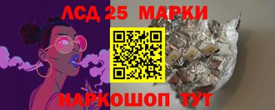 гашик Можга