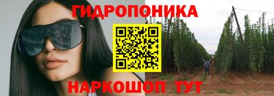 индика Моздок