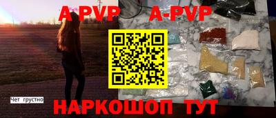 гашик Можга