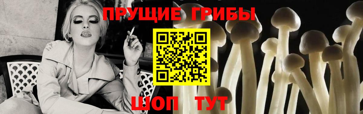 Псилоцибиновые грибы Magic Shrooms  Псилоцибиновые грибы GOLDEN TEACHER  Великие Луки  Вход с VPN 